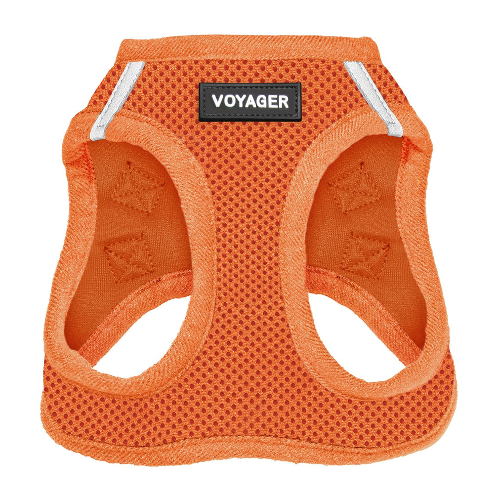 Best Pet Supplies Voyager Step-in Air Harness on dog during a comfortable daily walk