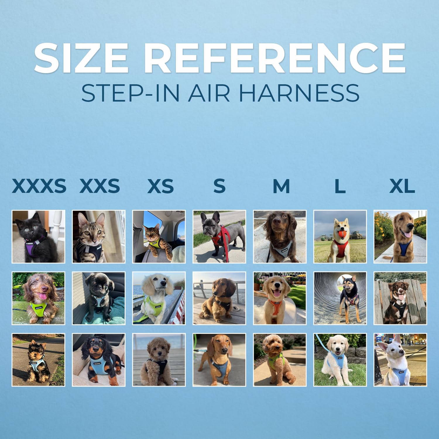 Best Pet Supplies Voyager Step-in Air Harness double D-rings for enhanced leash control