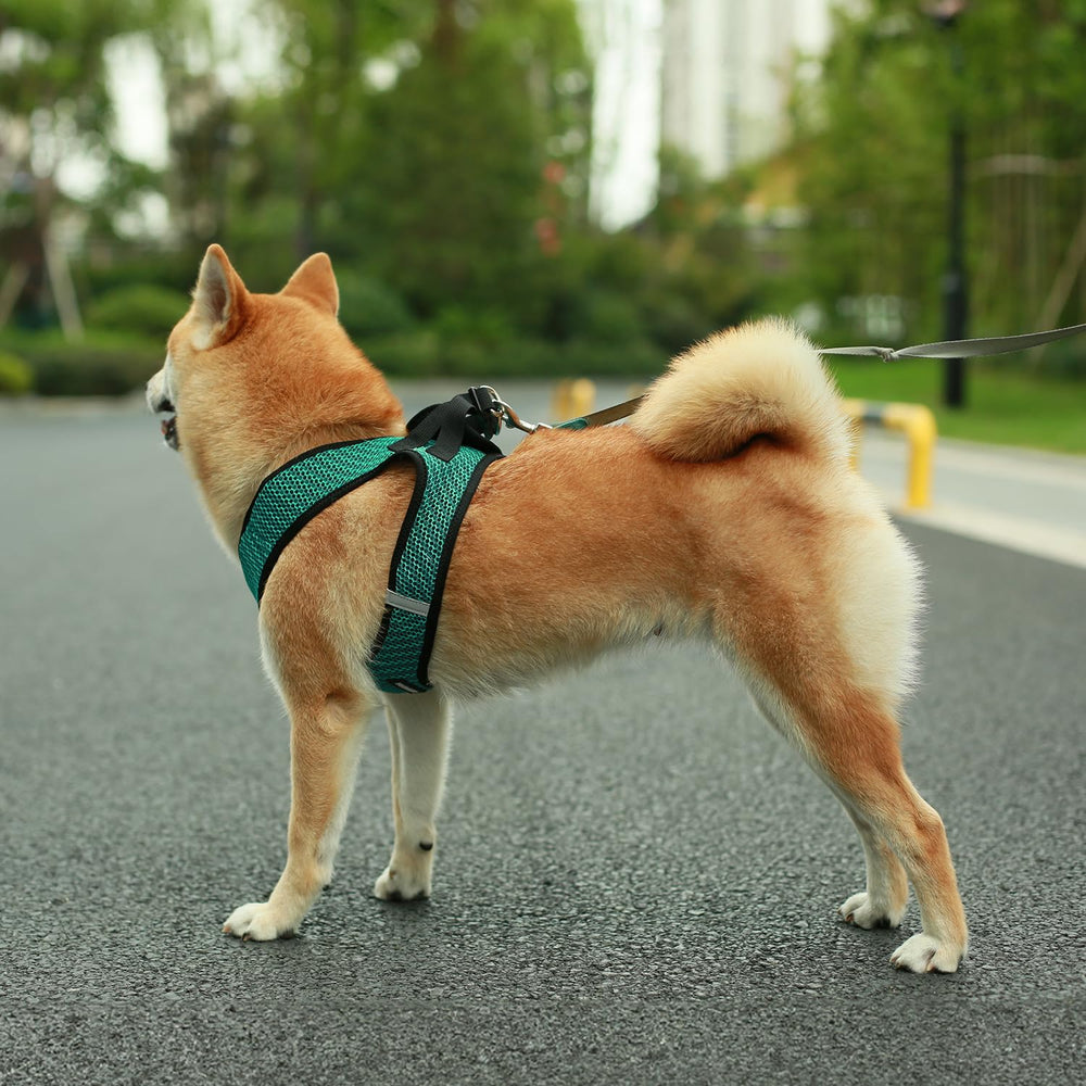 Easy step-in design of the Voyager harness for quick on-and-off.