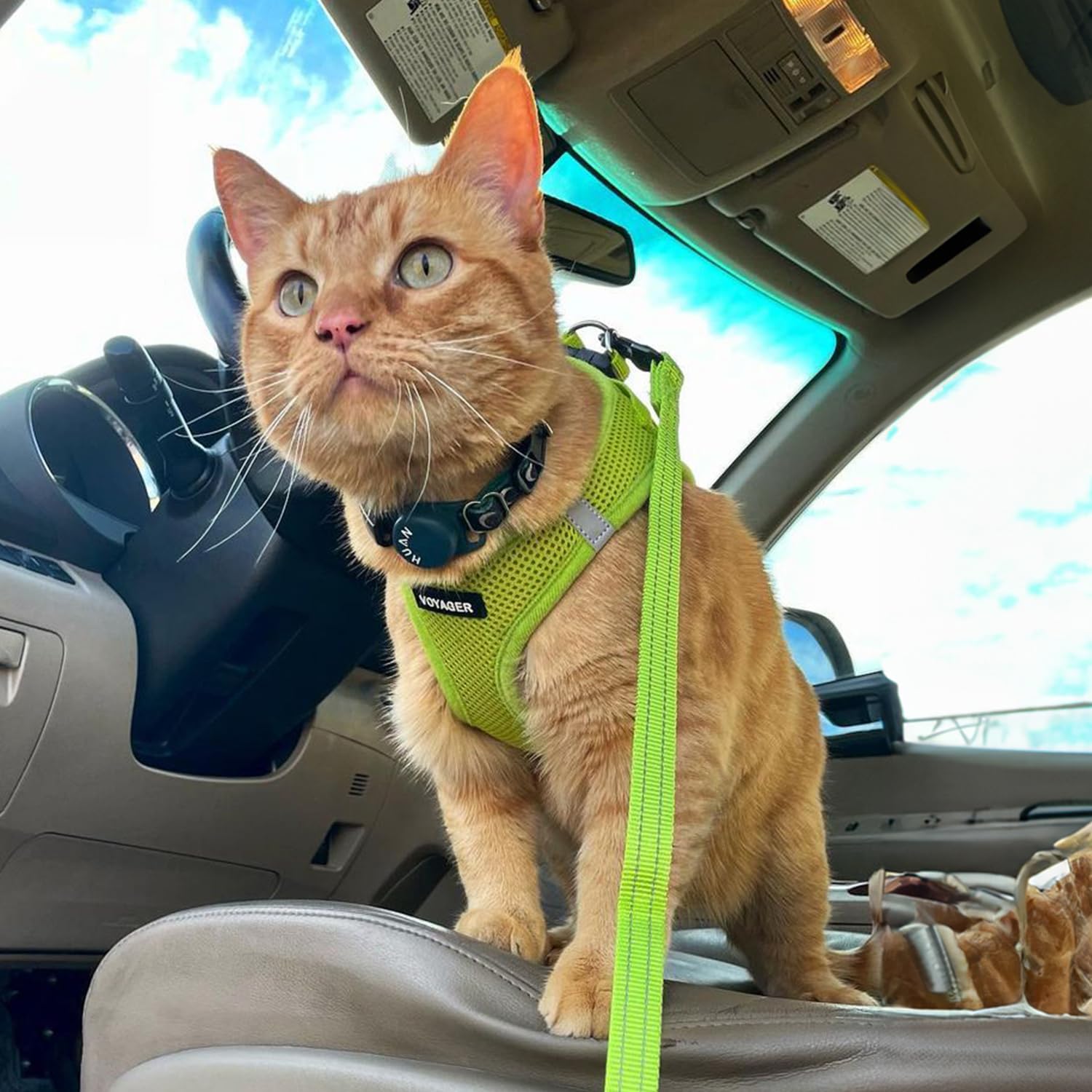 Best Pet Supplies Voyager Step-in Air Harness easy on-off design; quick setup for trips