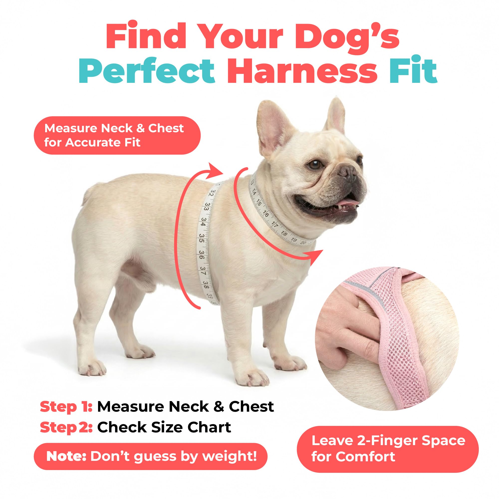 Easy-entry design allows quick, stress-free fitting
