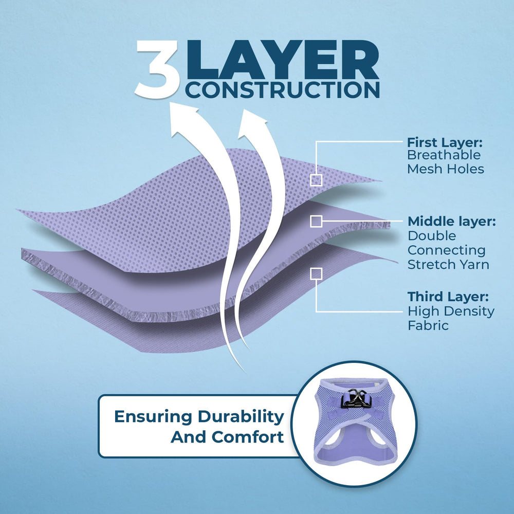 Best Pet Supplies Voyager lavender reflective bands improve visibility during dawn walks.