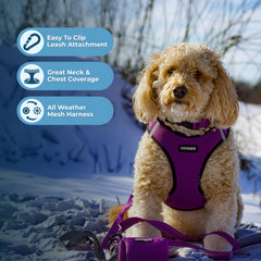 Best Pet Supplies Voyager Step-in Air Harness lightweight air mesh keeps pets cool during strolls.