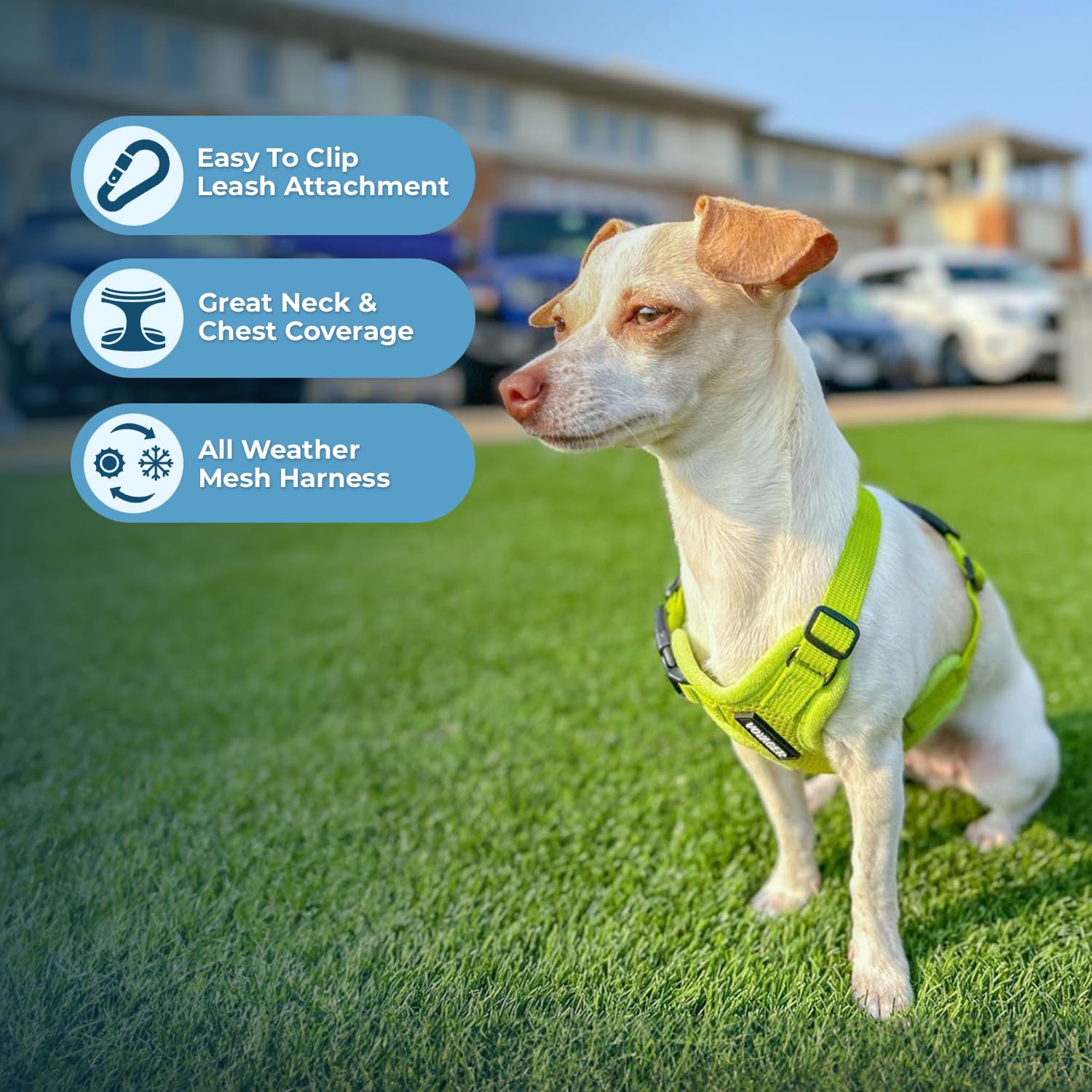 Best Pet Supplies Voyager Step-in Air Harness lime green side view; secure fit during daily strolls