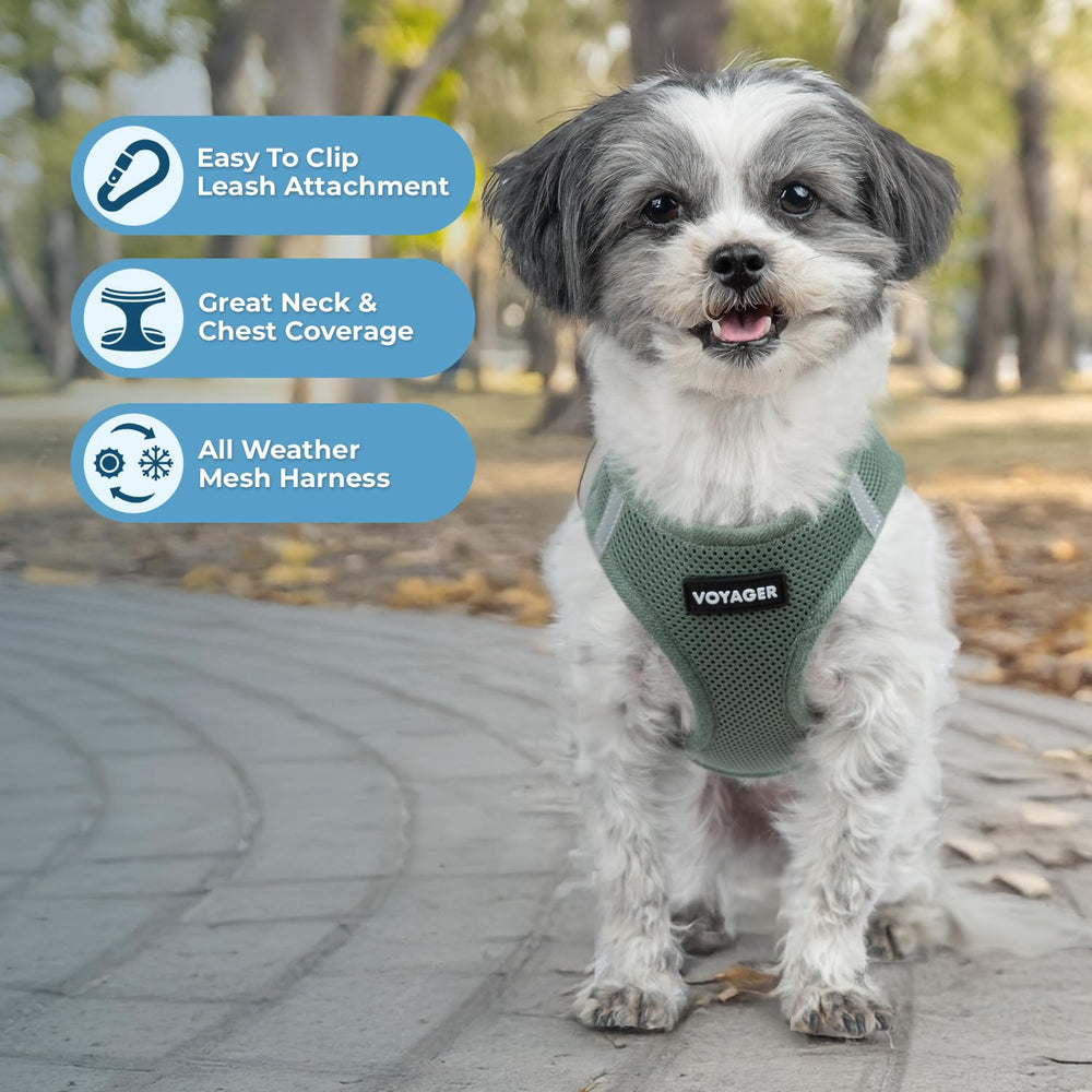 Best Pet Supplies Voyager Step-in Air Harness reflective bands for safer dawn and dusk walks.