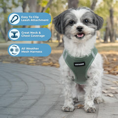 Best Pet Supplies Voyager Step-in Air Harness side profile with adjustable fit and D-rings