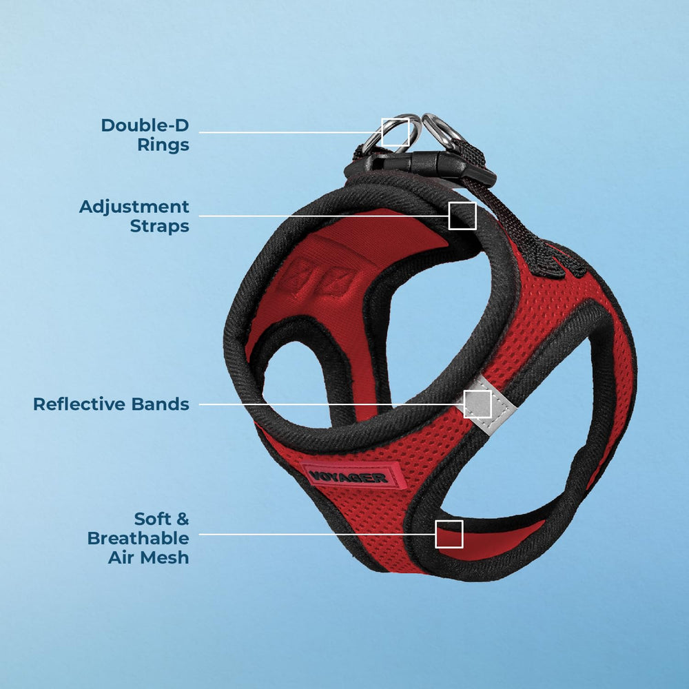 Best Pet Supplies Voyager step-in air harness offers no-pull design for calmer outings