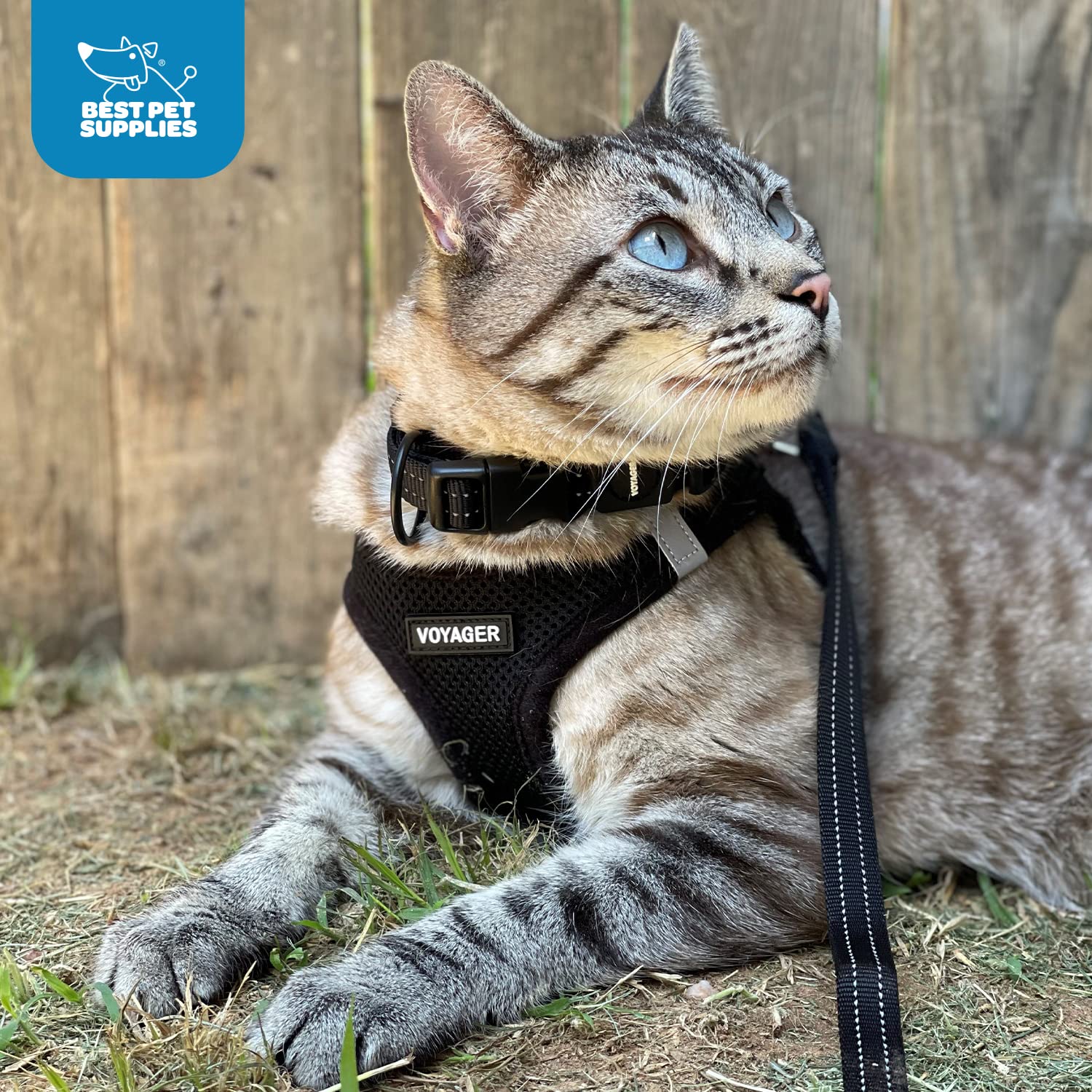 Best Pet Supplies Voyager Step-in Air Harness packaged for display and storage.