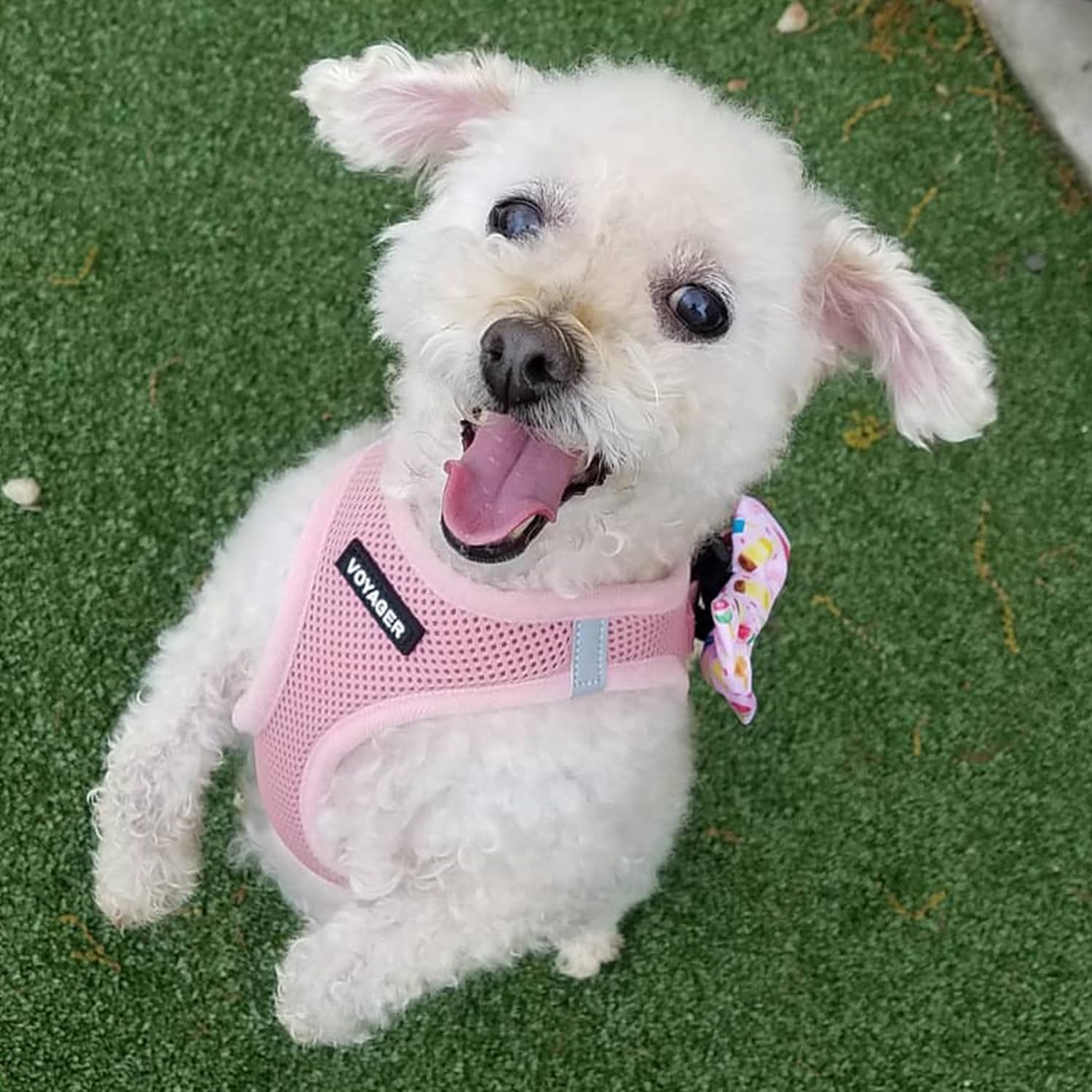 Best Pet Supplies Voyager Step-in Air Harness in pink for cats and dogs