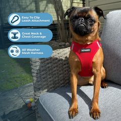 Best Pet Supplies Voyager red harness with reflective band for safer evening walks