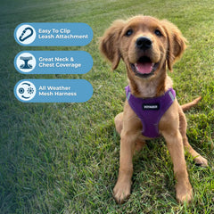 Voyager harness with reflective bands for safety during dawn and dusk strolls.