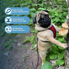Voyager harness shows reflective bands for safety during dawn or dusk walks