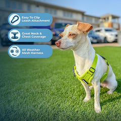 Voyager Step-in Air Harness showing reflective bands for early morning safety