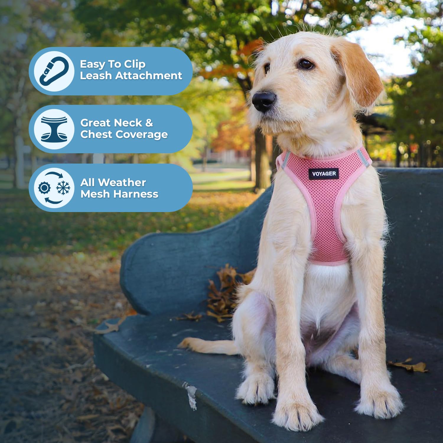 Voyager Step-in Air Harness shows reflective bands for safer evening outings