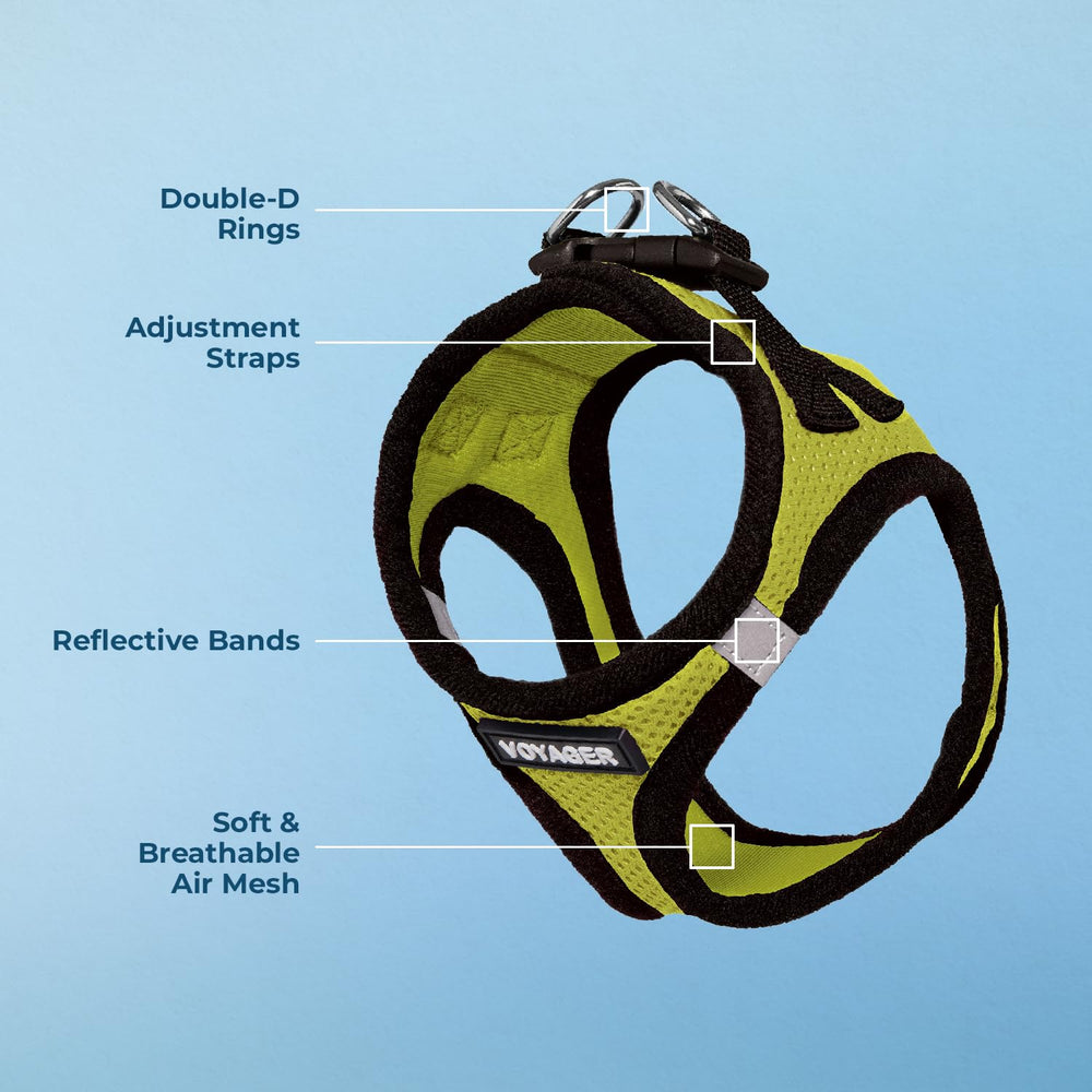Voyager Step-in Air Harness with reflective bands for enhanced visibility during dawn or dusk walks.