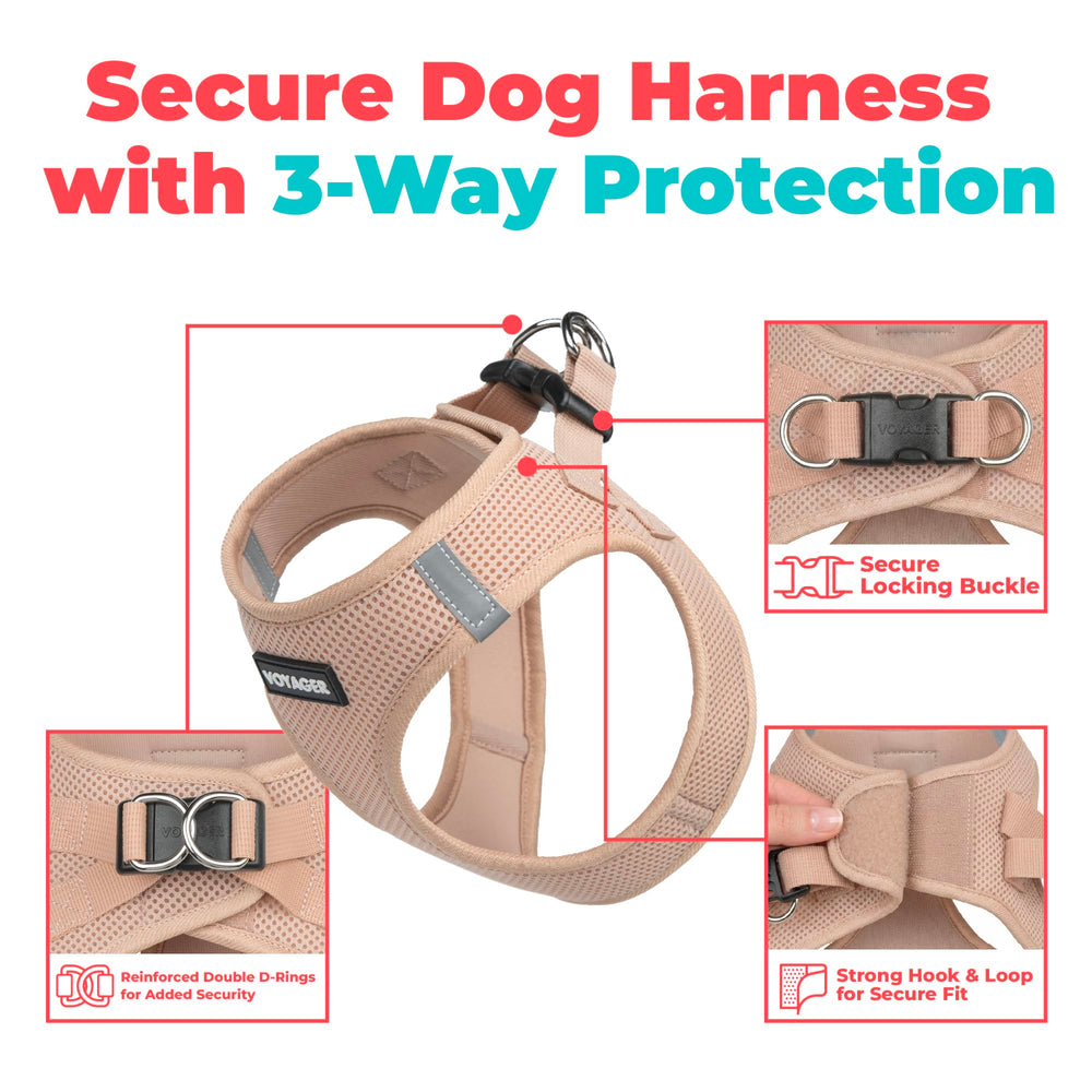 Voyager harness with reflective bands improves visibility during early or late walks