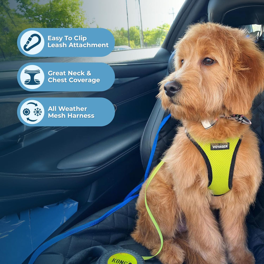 Voyager harness with reflective bands for safer dawn and dusk strolls