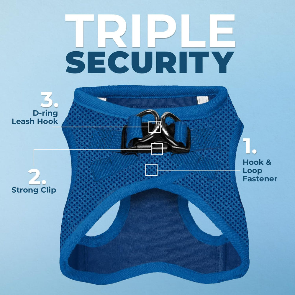 Voyager Step-in Air harness side view highlighting safety features on royal blue harness.