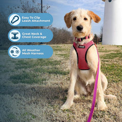 Best Pet Supplies Voyager Step-in Air Harness side view highlighting breathable mesh