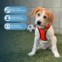 Best Pet Supplies Voyager Step-in Air Harness, soft air mesh for breathable comfort.