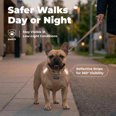 Best Pet Supplies Voyager harness triple-security close-up shows secure hook-and-loop, buckle, and double D-rings.