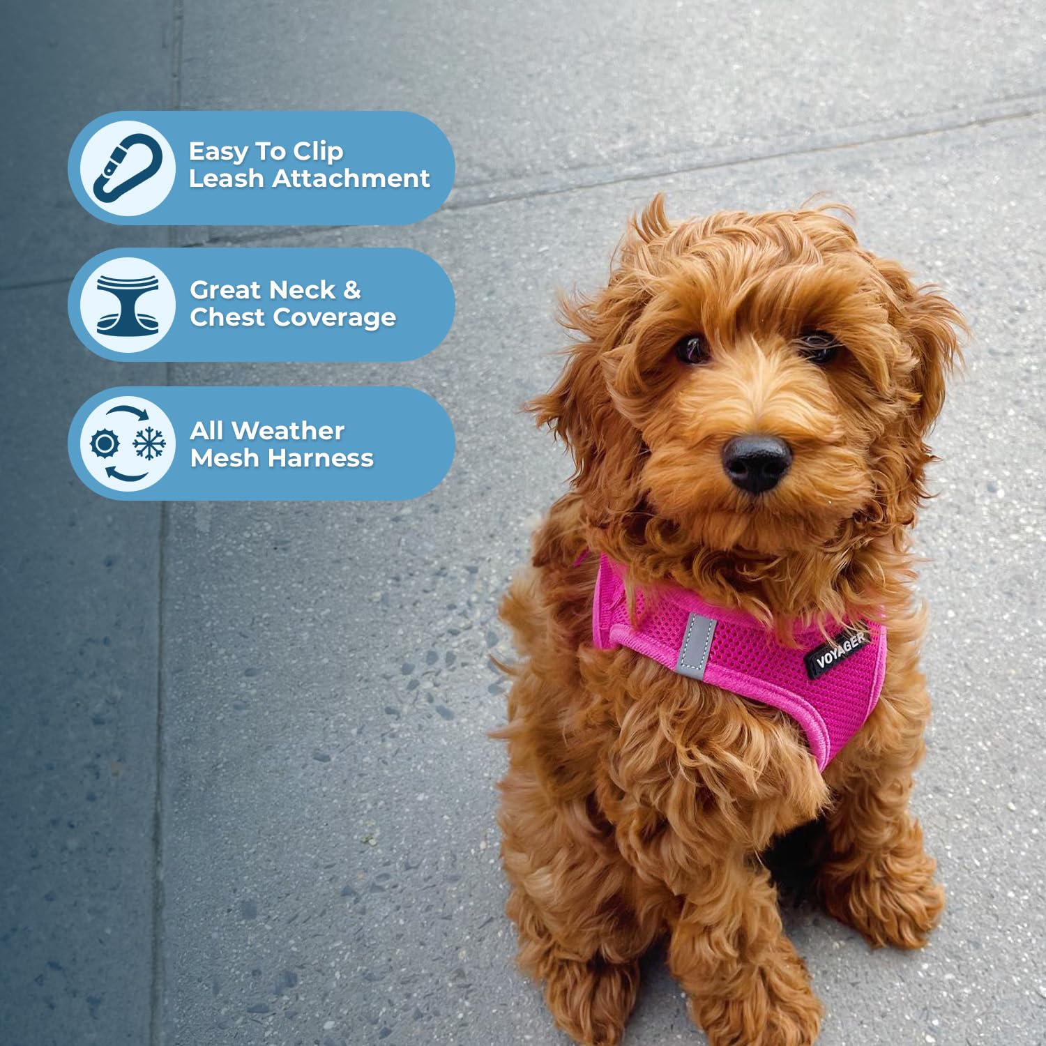 Best Pet Supplies Voyager step-in design enables easy on-off during outings.