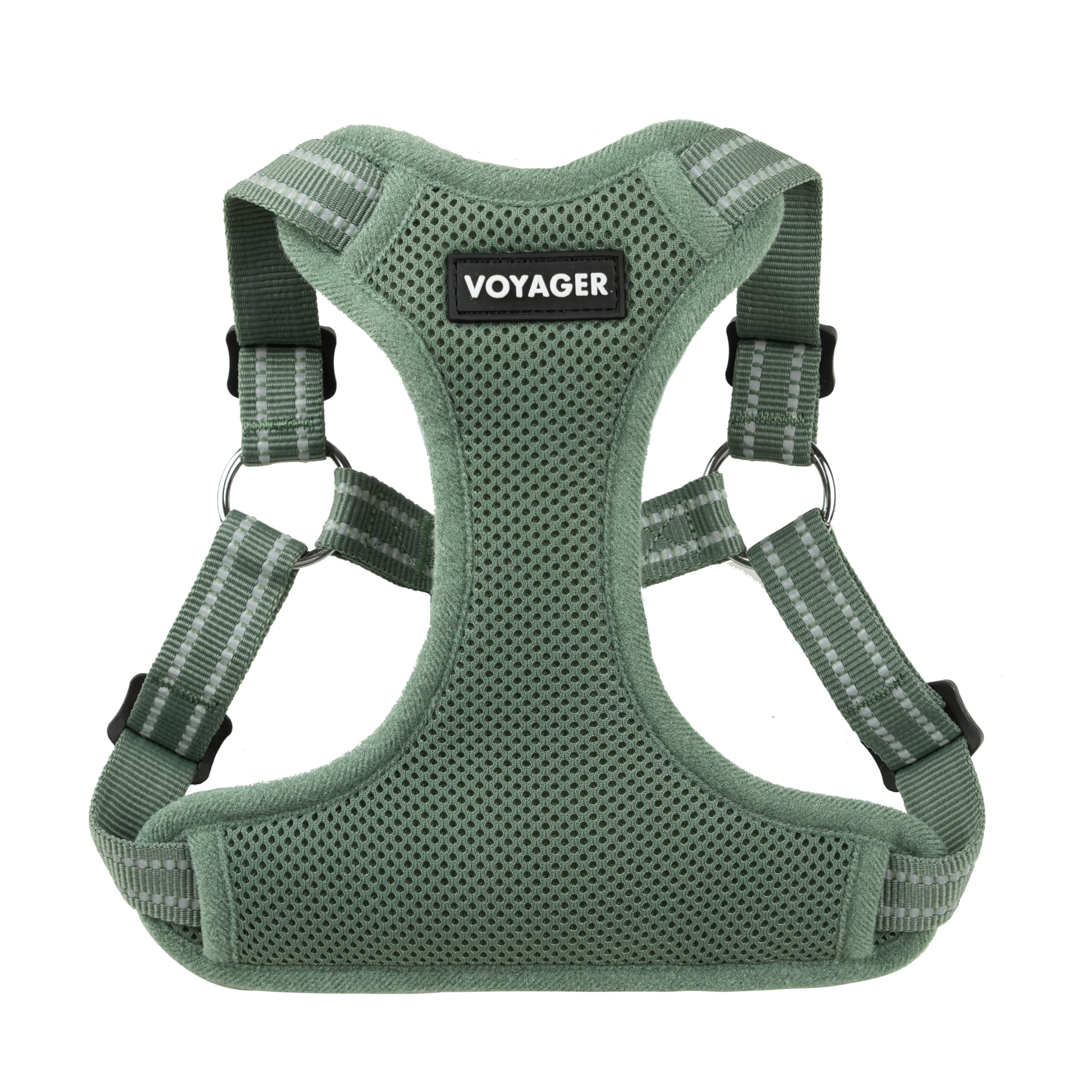 Best Pet Supplies Voyager step-in harness shown ready for a calm morning walk