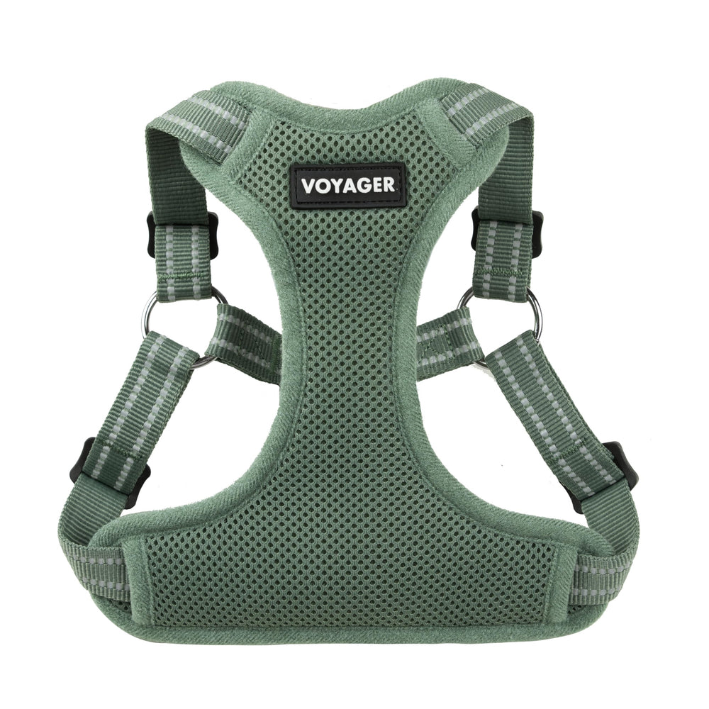 Best Pet Supplies Voyager step-in harness shown ready for a calm morning walk