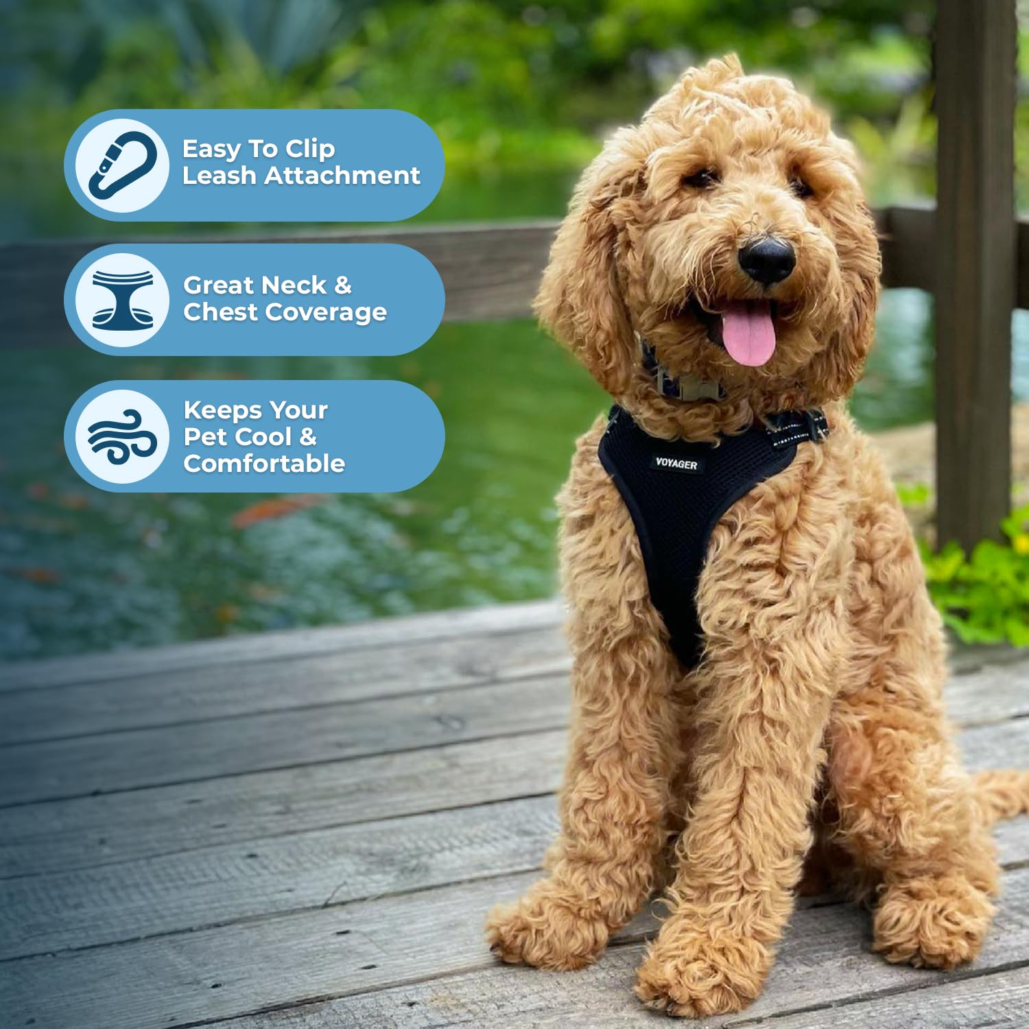 Best Pet Supplies Voyager measuring guide helps achieve a precise fit