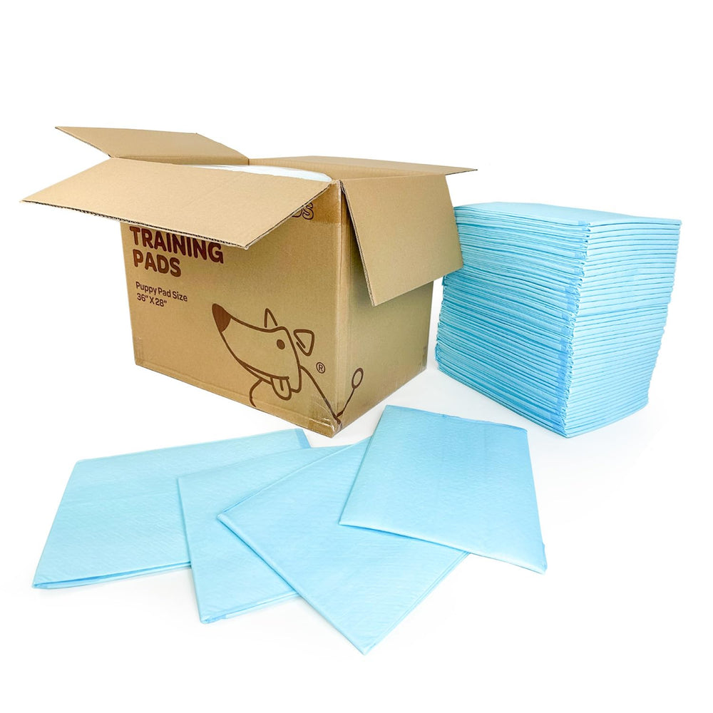 Best Pet Supplies XL pad in crate-use scenario.