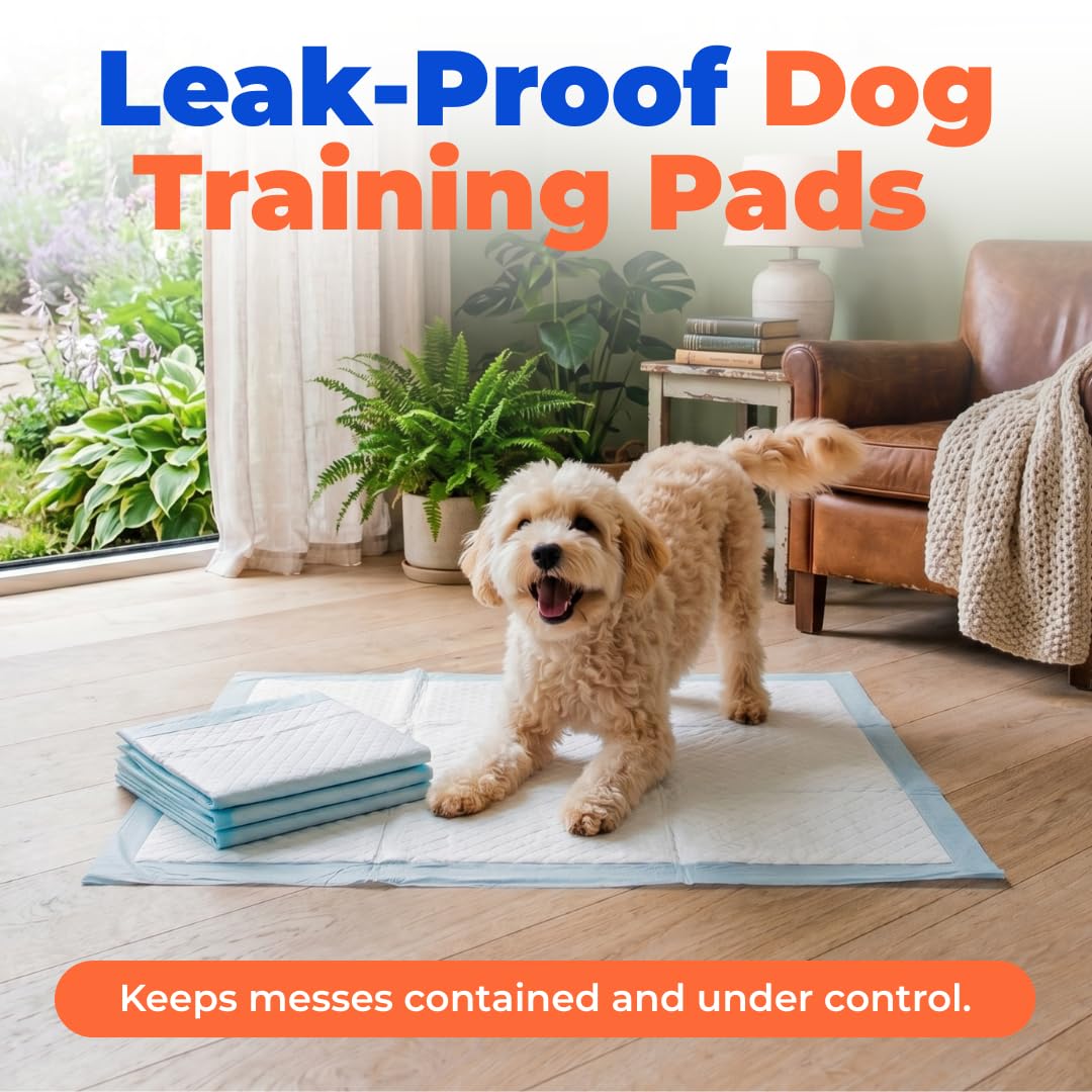 Best Pet Supplies XL pads with 5-layer protection for reliable absorption