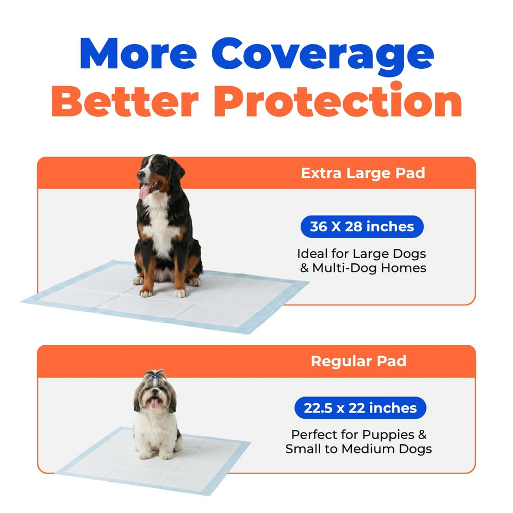 Best Pet Supplies XL pads bulk pack-100-count for frequent training