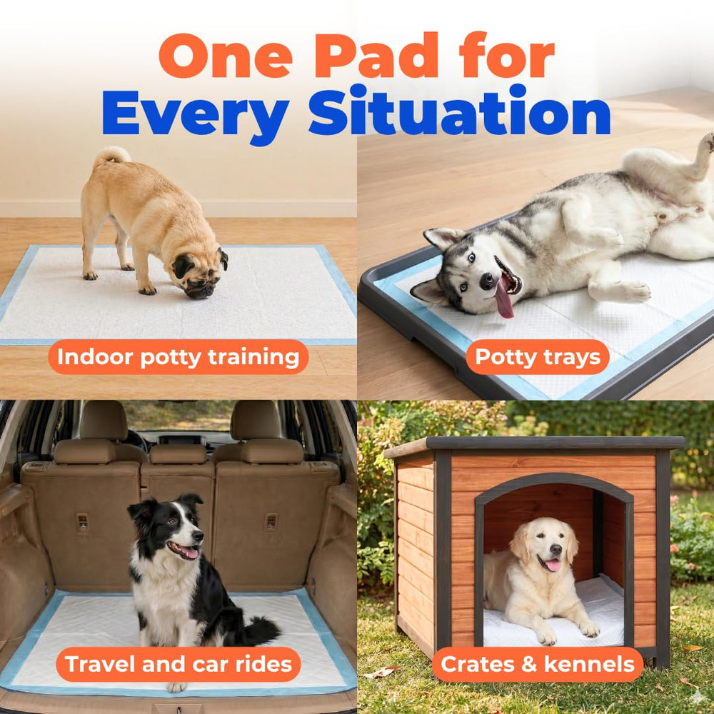 Best Pet Supplies XL pads suited for training, senior dogs, crates, and travel