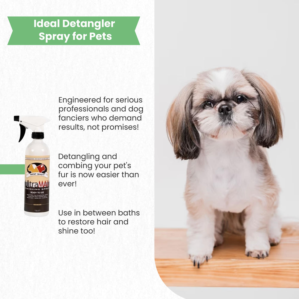 Best Shot UltraMAX Pro Finishing Spray applied on a cat coat for gentle shine.