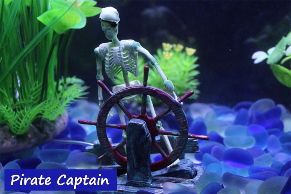Bestgle fish-tank skeleton pirate scene sparks curiosity for visitors and family.
