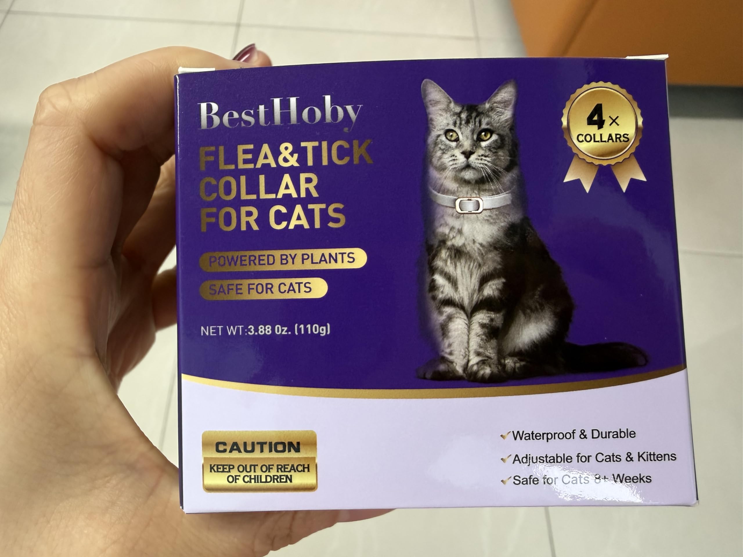 BestHoby collar on kitten, demonstrating adjustable fit and comfort.
