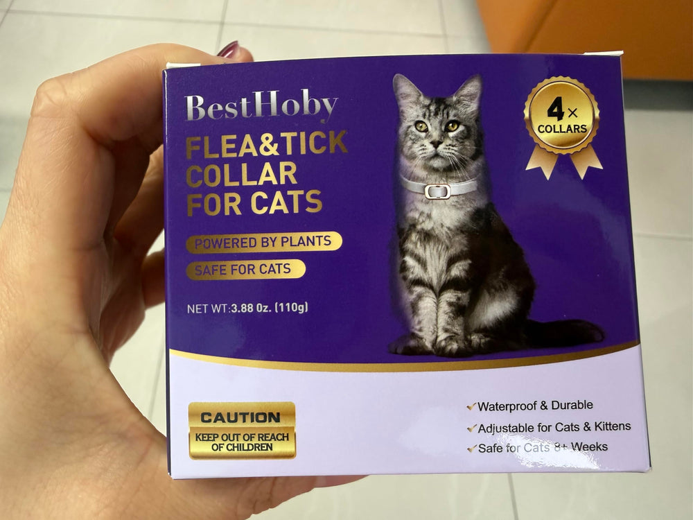 BestHoby collar on kitten, demonstrating adjustable fit and comfort.