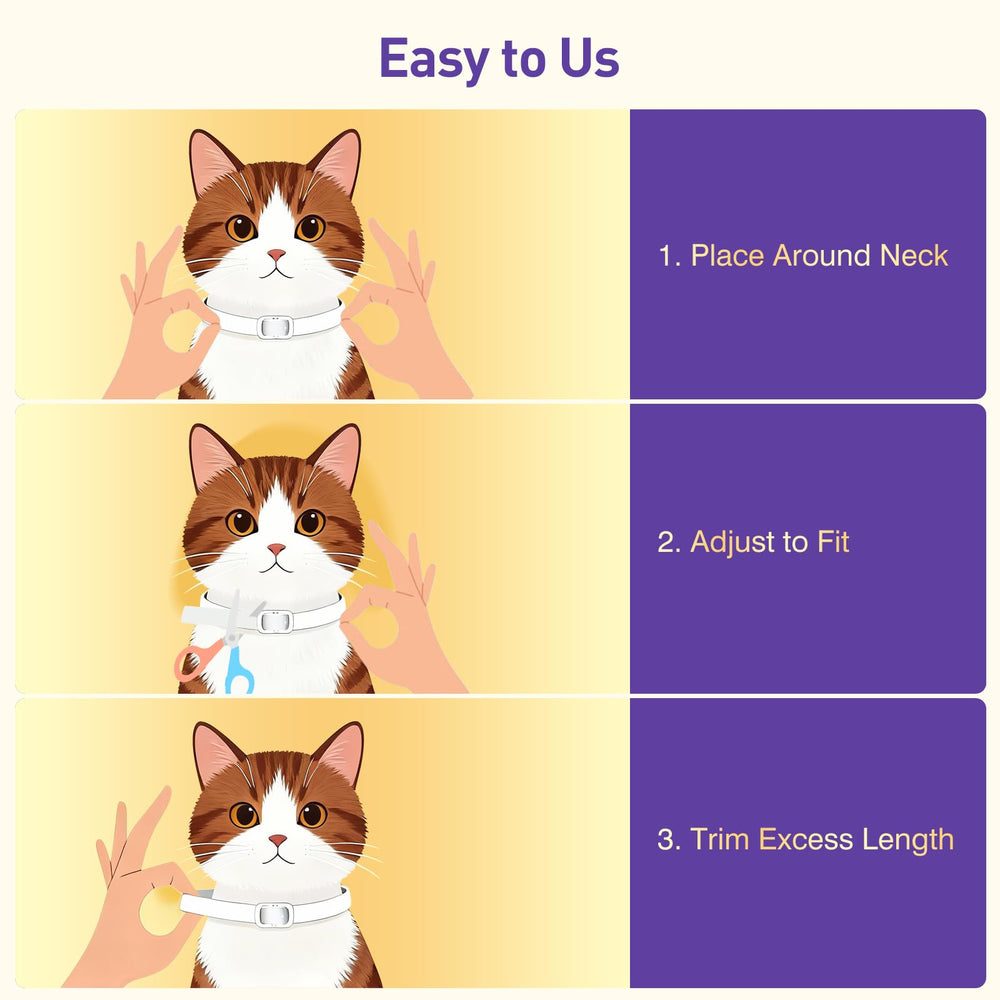 BestHoby cat wearing collar in rain, illustrating water resistance during wet conditions.