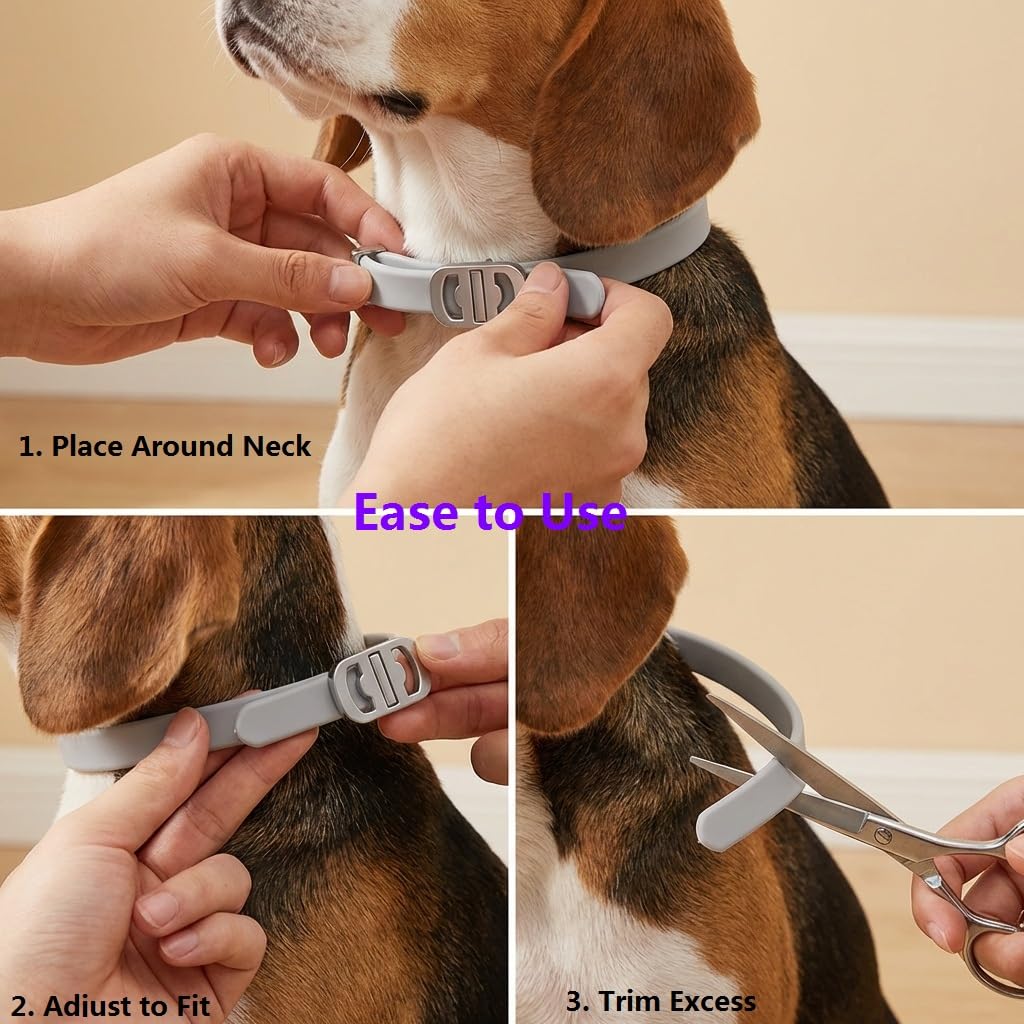 BestHoby rosemary oil collar closeup for balanced essential oil blend