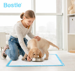 BESTLE diamond-quilted design directs liquid efficiently for quick absorption.