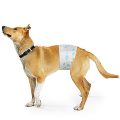 BESTLE dog diapers highlight a wetness indicator for easy changing.