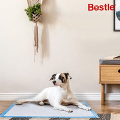 BESTLE durable materials resist scratches and tears during use