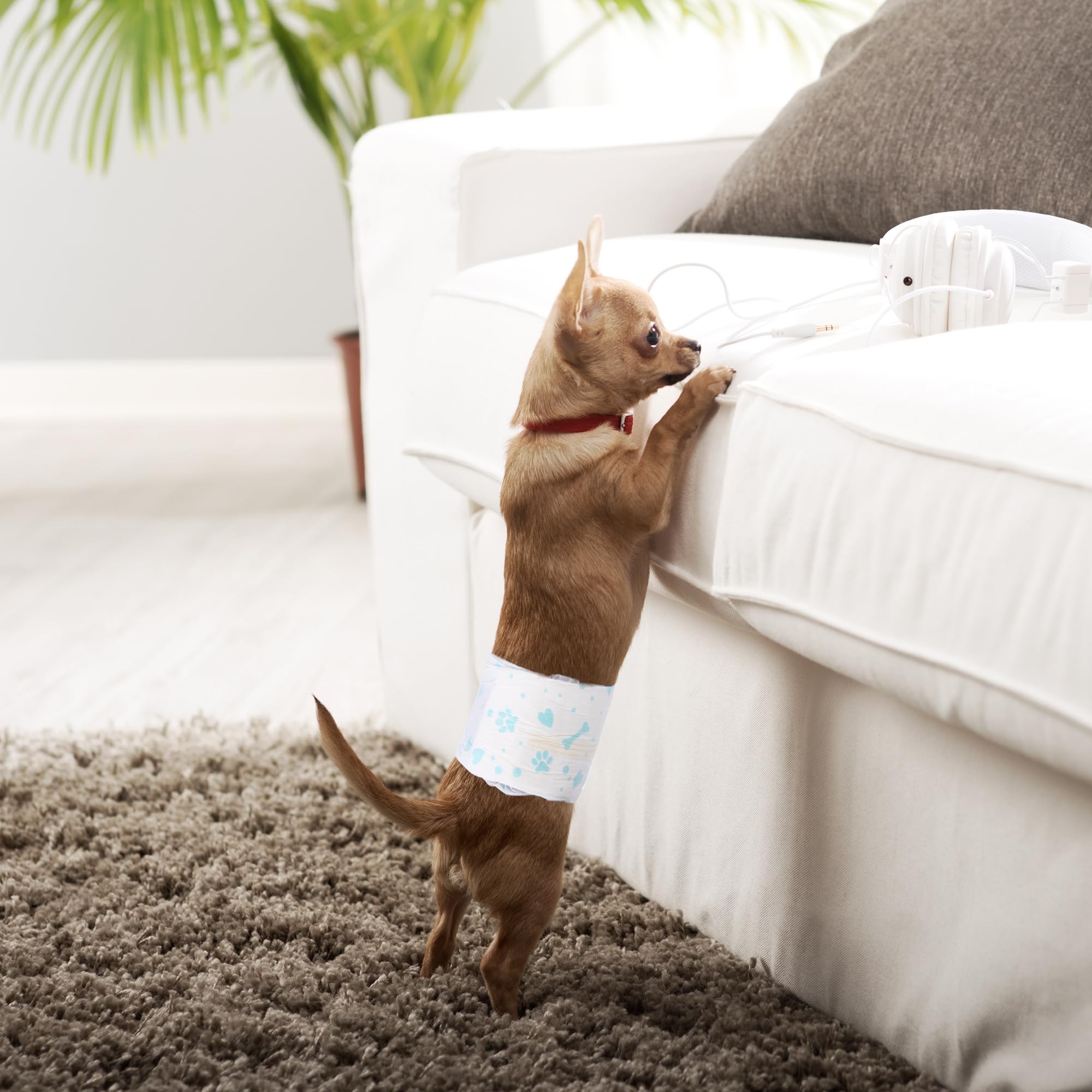 Bestle disposable diapers bring convenience for travel and daily routines
