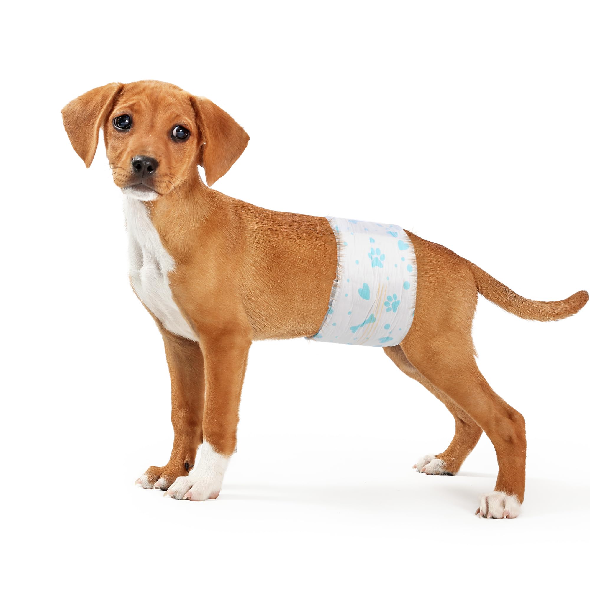 Bestle wrap with elastic waist demonstrates a snug, adjustable fit.