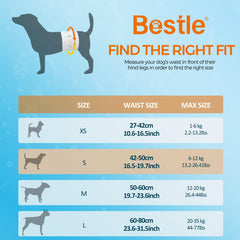 Bestle dog diapers leak-proof back layer keeps floors clean.