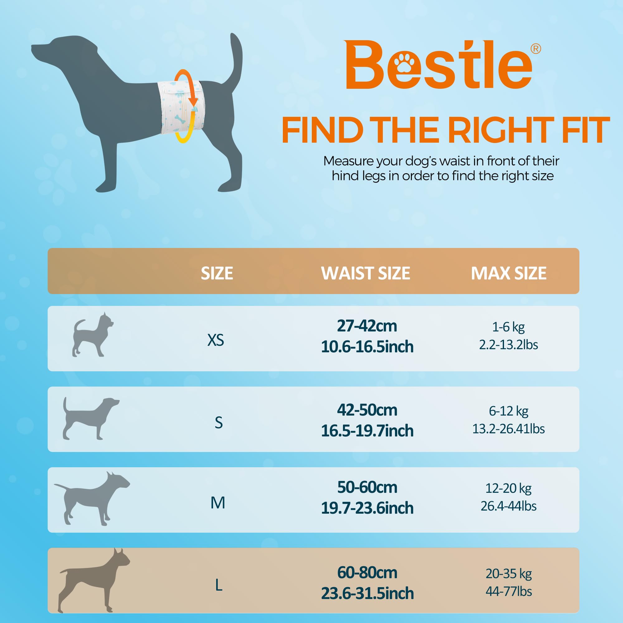 BESTLE male dog wrap on a dog demonstrates leak-proof protection during walks.
