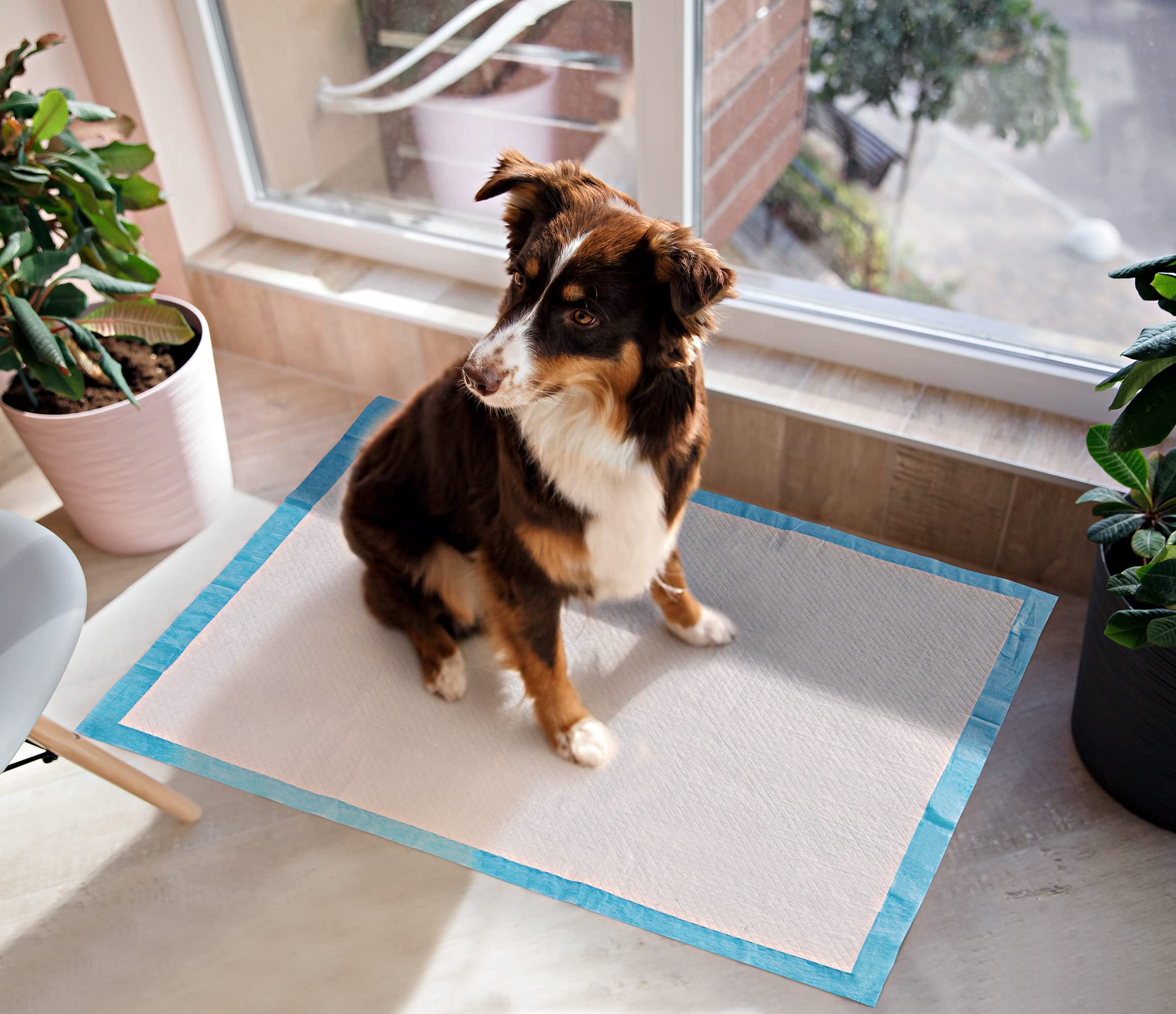 BESTLE pad features quick-dry top layer to prevent overflow.