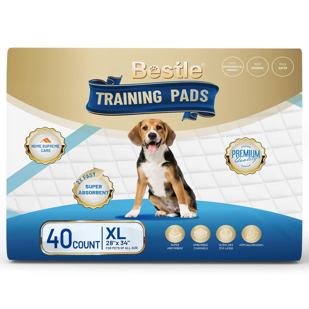 BESTLE unscented design avoids strong odors during training