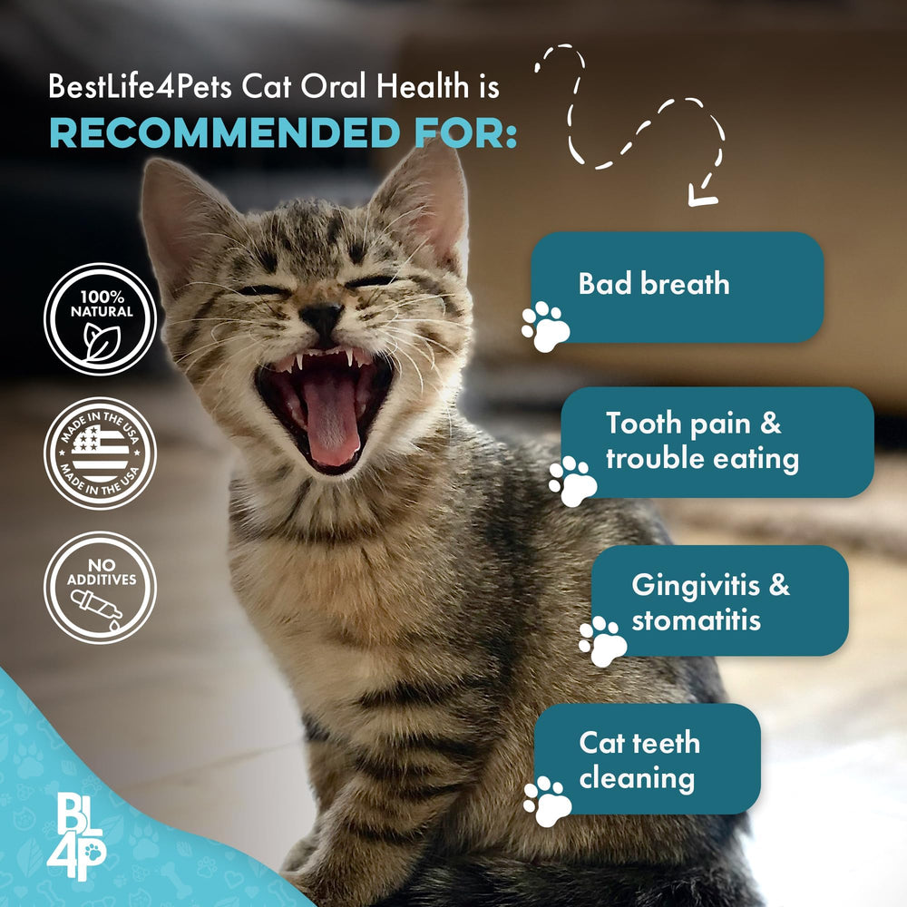 BestLife4Pets 3-month supply bottle highlighting value.
