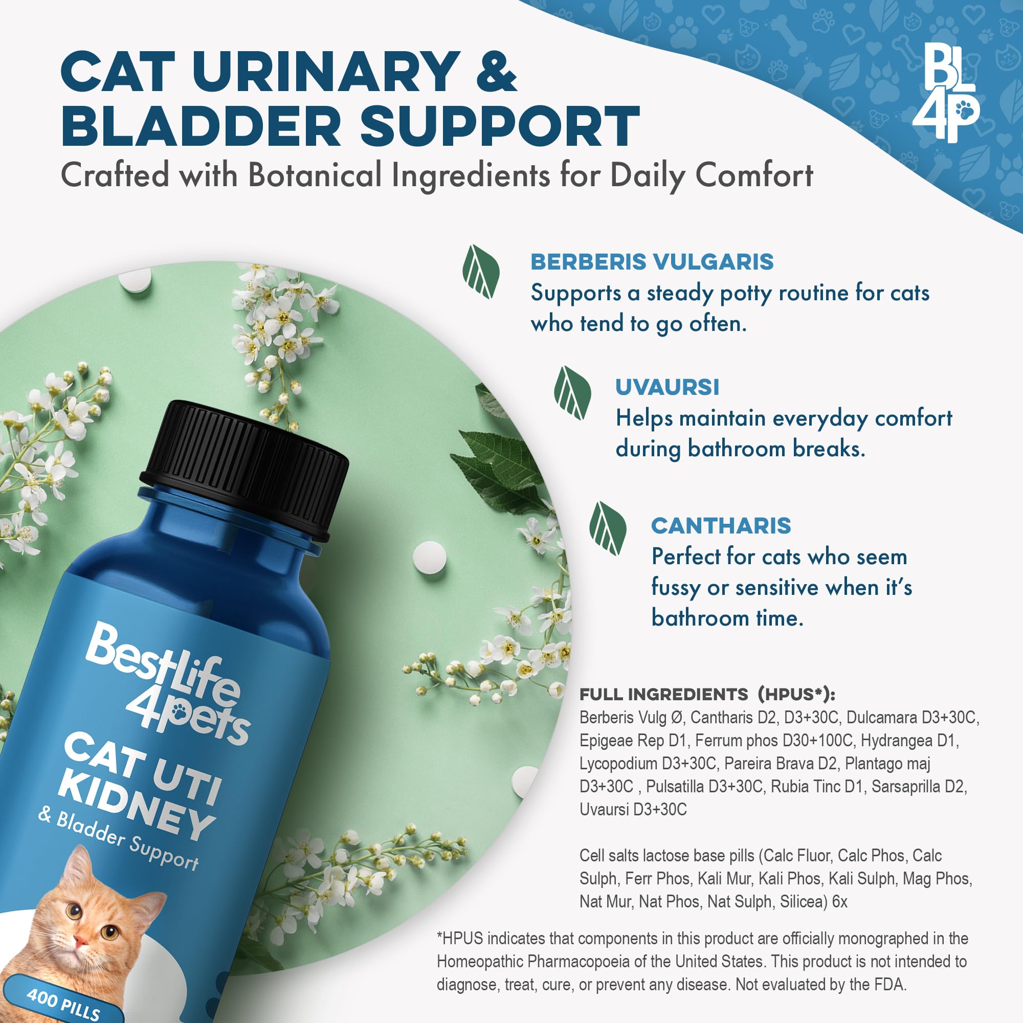 BestLife4Pets brand packaging displayed beside bottle for trusted supplementation.